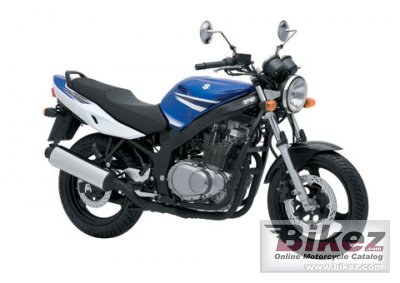 2009 Suzuki GS500 photo